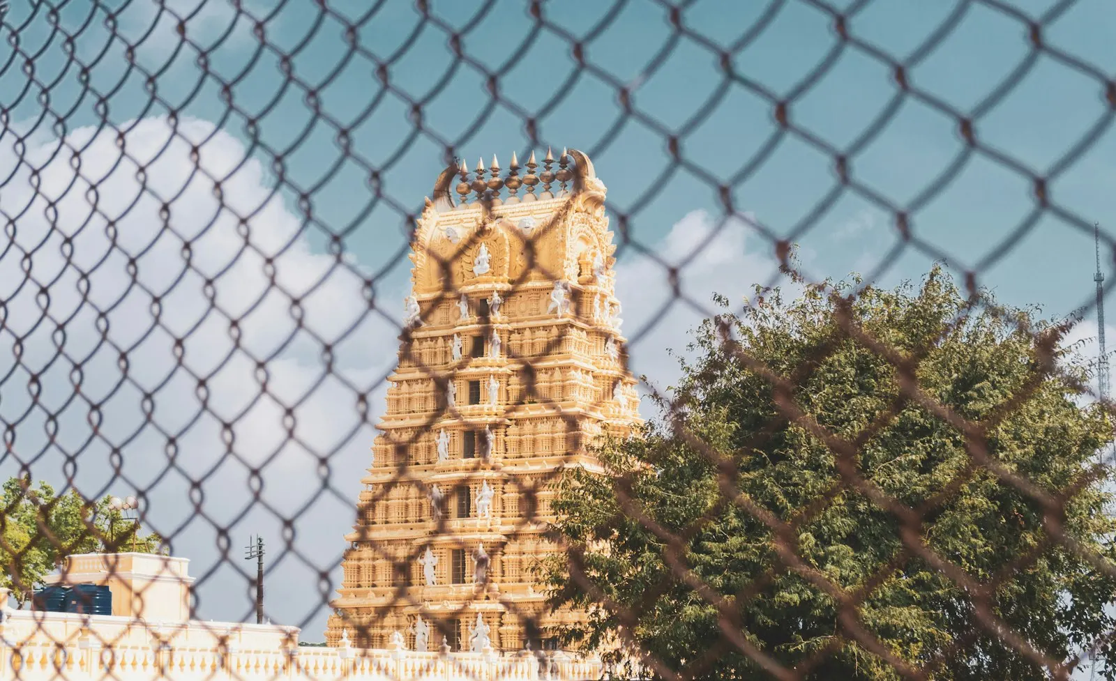 Chamundi Hill and Mysore Zoo by OYG Holidays, Mysore