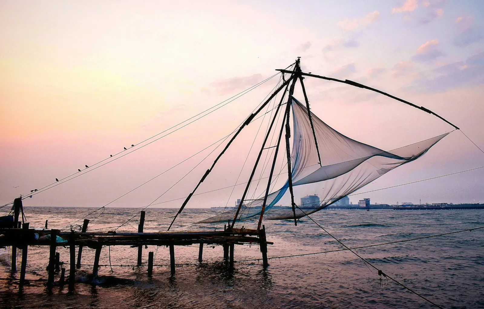 Fort Kochi Heritage Walk by OYG Holidays, Kerala
