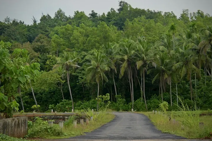 Thekkady Spice Plantation Walk by OYG Holidays