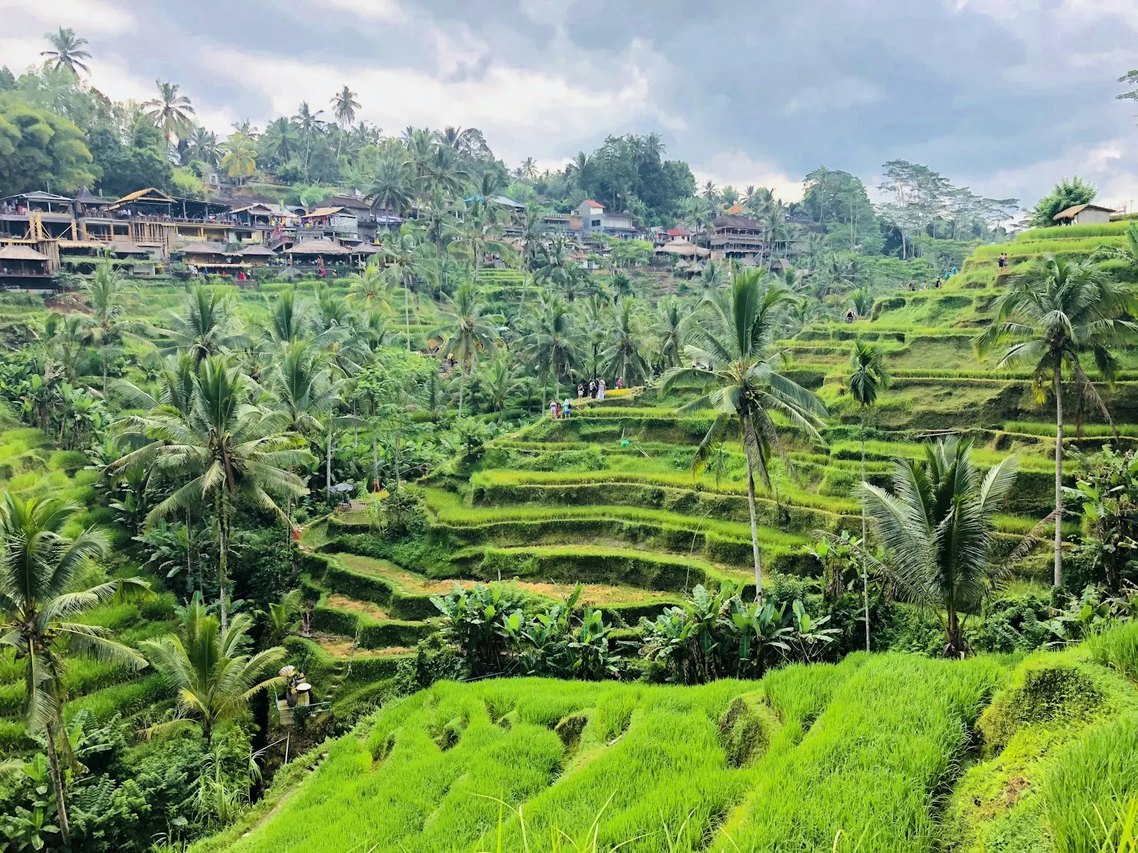 Ubud Rice Terraces and Temple Day Trip by OYG Holidays, Bali