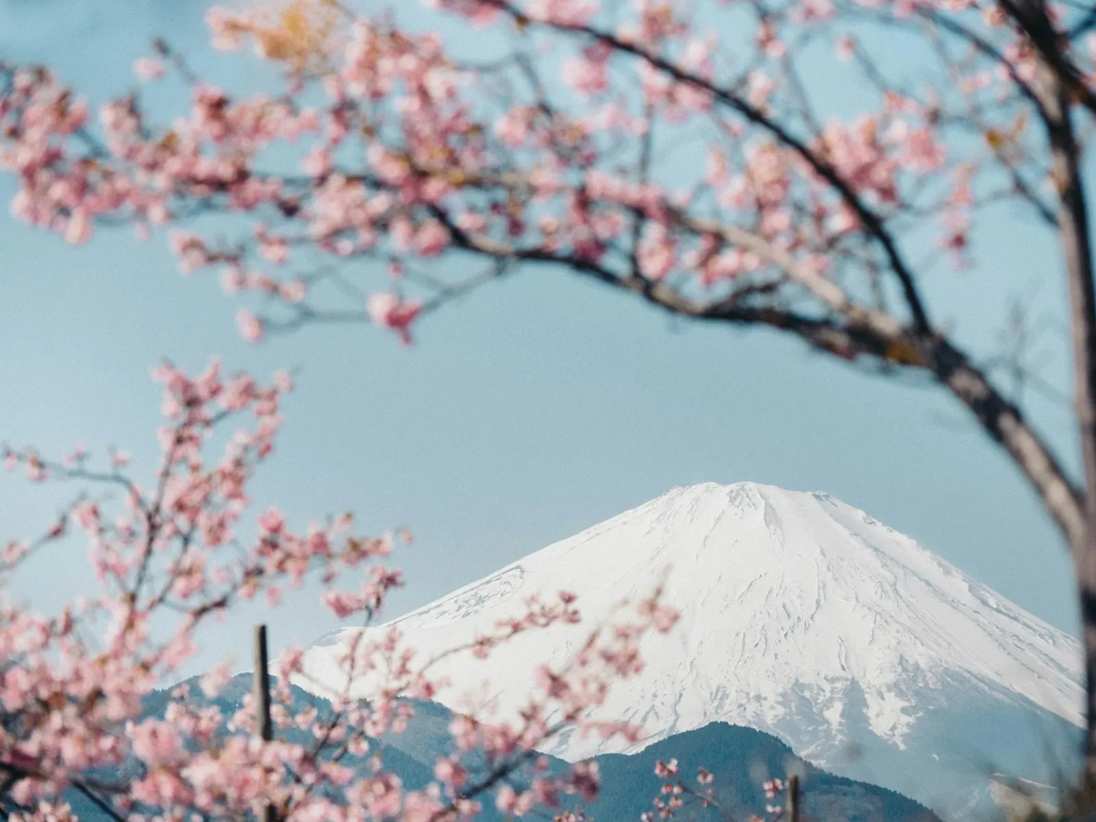 Ryokan Stays in Kyoto by OYG Holidays, Japan