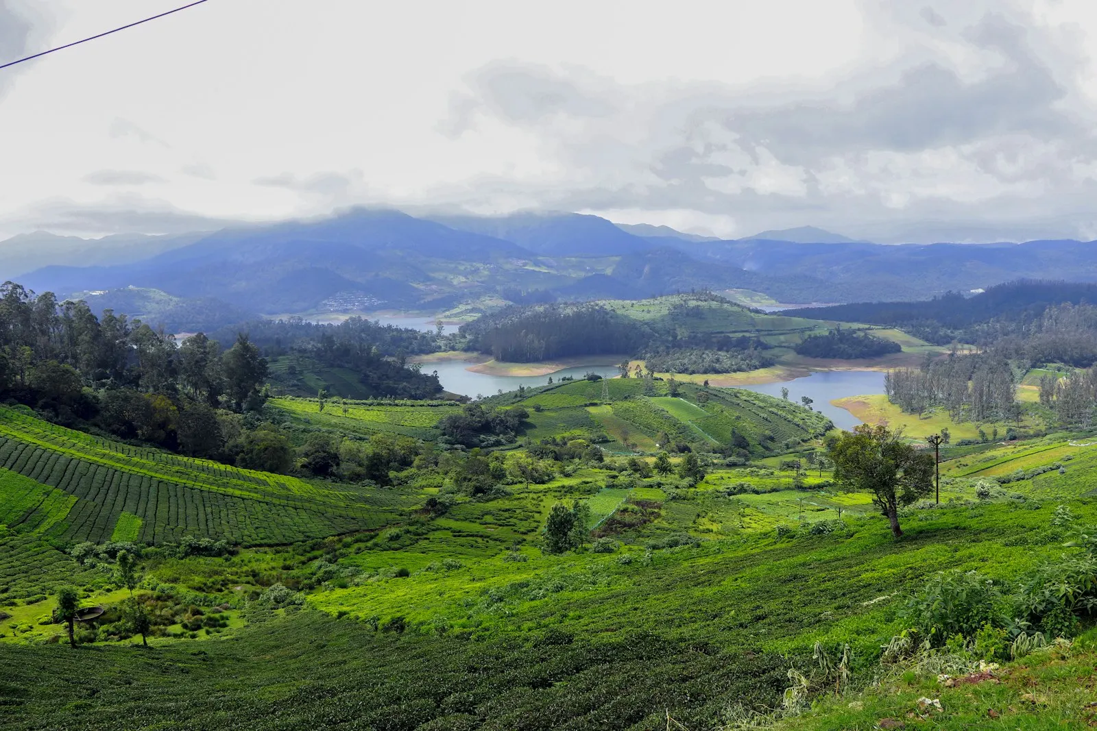 Hill Resorts in Ooty by OYG Holidays, Ooty