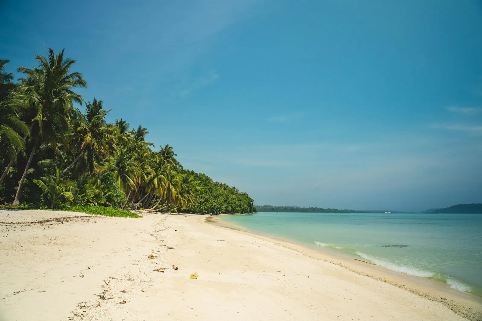 Beach Resorts in Havelock by OYG Holidays, Andaman and Nicobar