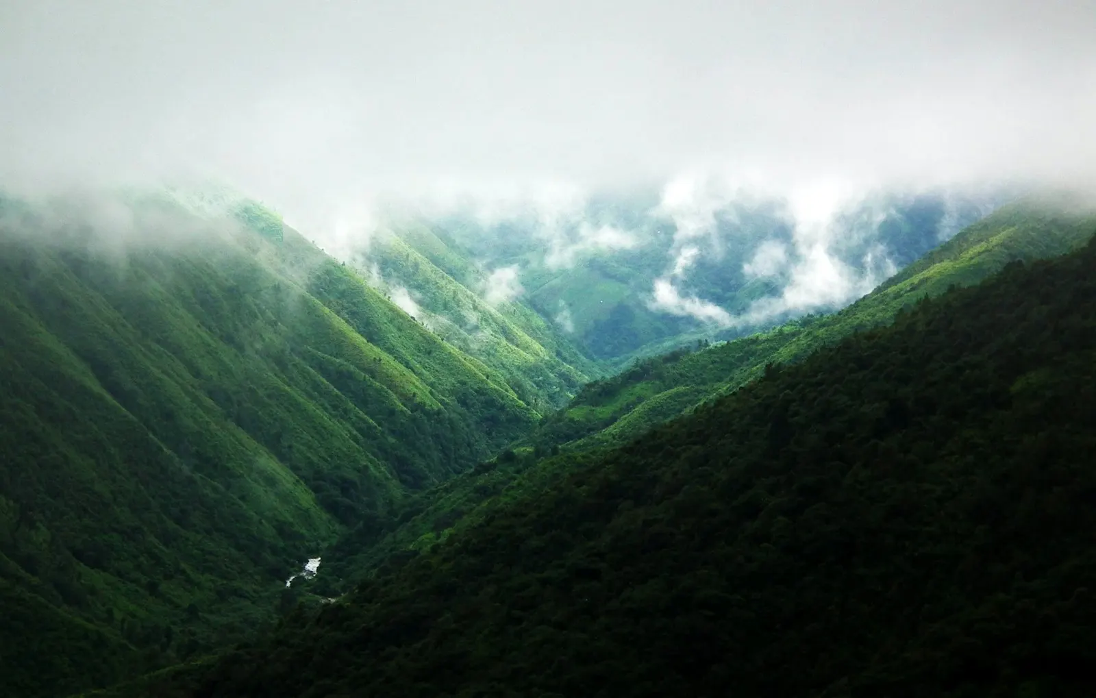 Eco Resorts in Meghalaya by OYG Holidays, Meghalaya