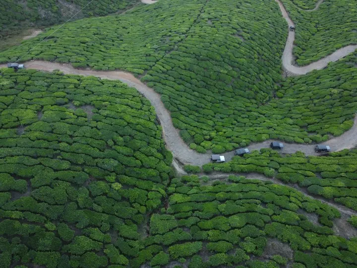 Private Cottages in Munnar by OYG Holidays